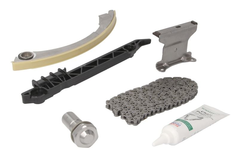 INA 559 0206 10 Timing Chain Kit 559020610 559020610 INA Timing Chain Kit