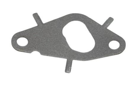 55193265 Fiat/Alfa/Lancia Oil separator gasket