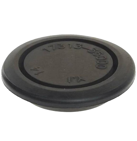 1731335000 Hyundai/Kia Plug
