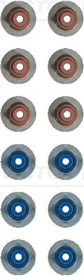 121837901 Victor Reinz Valve oil seals, kit