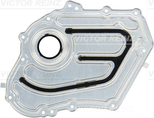 811066700 Victor Reinz Shaft Seal, crankshaft