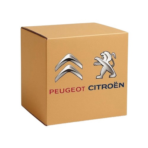 Buy Citroen/Peugeot 98 053 882 80 at a low price in United Arab Emirates!