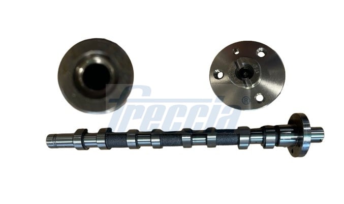 Camshaft Renault Talisman: CM052350 Freccia Camshaft