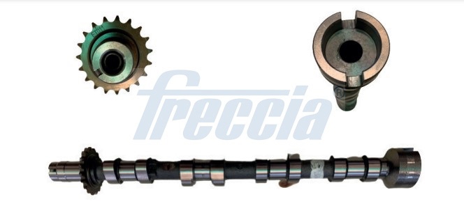 Camshaft Ford Mondeo: CM052361 Freccia Camshaft