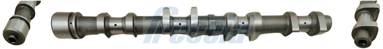 Camshaft KIA Carens (Kia Carens): CM052345 Freccia Camshaft