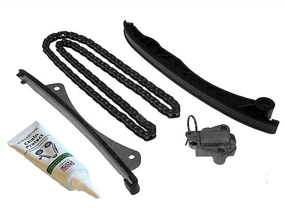559181720 INA Timing Chain Kit