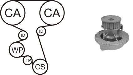 WPK164202 Airtex TIMING BELT KIT WITH WATER PUMP