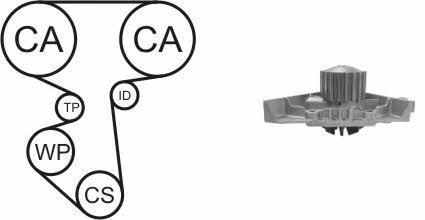 TIMING BELT KIT WITH WATER PUMP Airtex WPK-167501