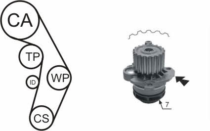 TIMING BELT KIT WITH WATER PUMP Airtex WPK-177402