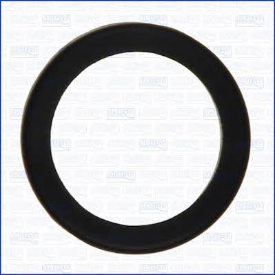 Gasket Ajusa 00519100