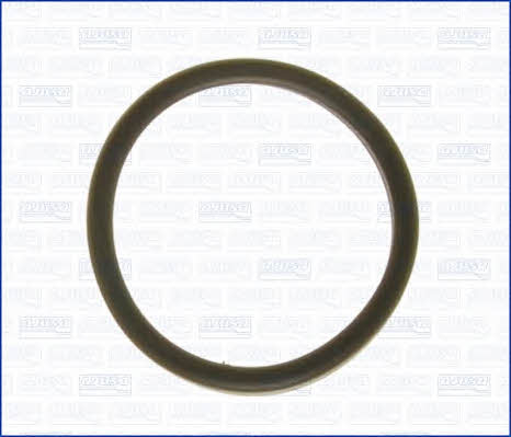 Ajusa 01193700 Termostat gasket 01193700