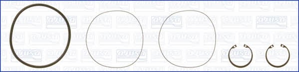 Ajusa 60006700 O-rings for cylinder liners, kit 60006700