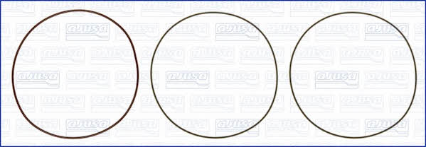 Ajusa 60010500 O-rings for cylinder liners, kit 60010500