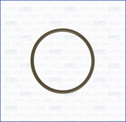 Intake manifold gasket Ajusa 16024300