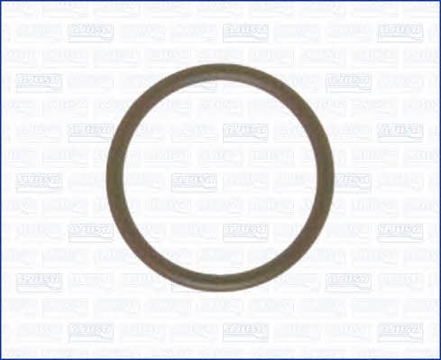 Intake manifold gasket Ajusa 16051000