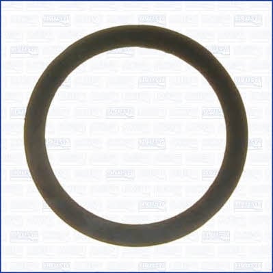 Intake manifold gasket Ajusa 24021600