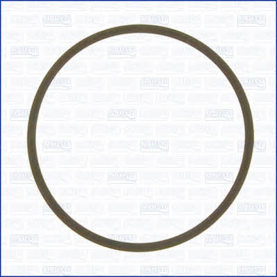 Intake manifold gasket Ajusa 24029300