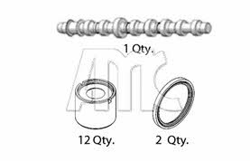 Amadeo Marti Carbonell 653852K Camshaft set 653852K