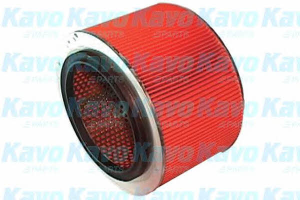 Buy AMC Filters MA-491 at a low price in United Arab Emirates!