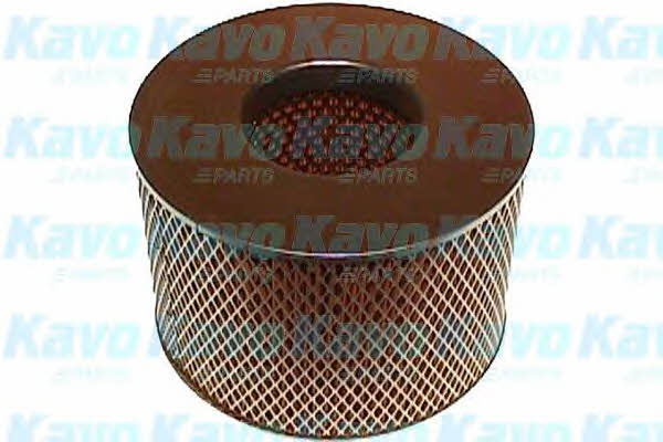 Buy AMC Filters TA-1672 at a low price in United Arab Emirates!