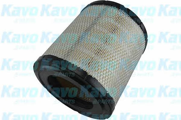 Buy AMC Filters TA-1681 at a low price in United Arab Emirates!