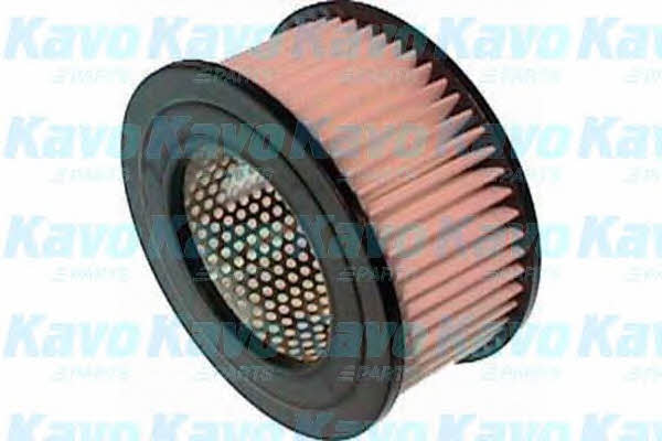 Buy AMC Filters TA-193 at a low price in United Arab Emirates!