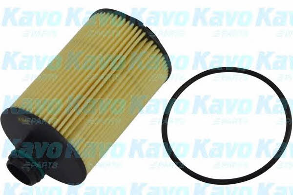 Buy AMC Filters DO-717 at a low price in United Arab Emirates!