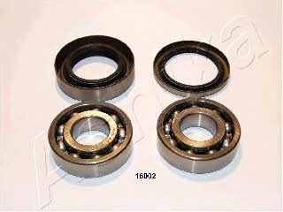 Ashika 44-16002 Wheel bearing kit 4416002