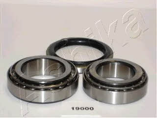 Ashika 44-19000 Wheel bearing kit 4419000