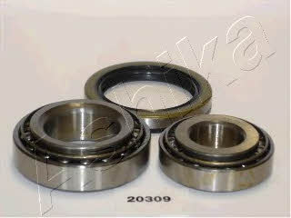Ashika 44-20309 Wheel bearing kit 4420309