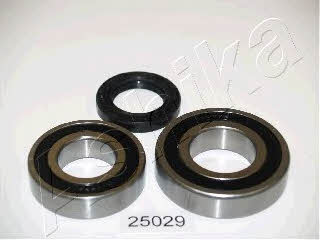 Ashika 44-25029 Wheel bearing kit 4425029