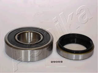 Ashika 44-29002 Wheel bearing kit 4429002
