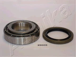 Ashika 44-29005 Wheel bearing kit 4429005
