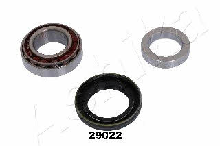 Ashika 44-29022 Wheel bearing kit 4429022