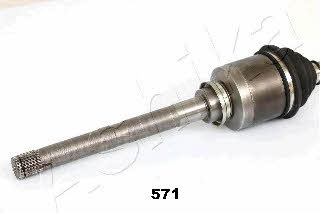 Buy Ashika 62-05-571 at a low price in United Arab Emirates!