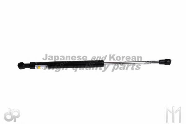 Ashuki T928-04 Gas Spring, boot-/cargo area T92804