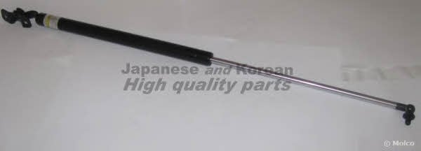 Ashuki T902-25 Gas Spring, boot-/cargo area T90225