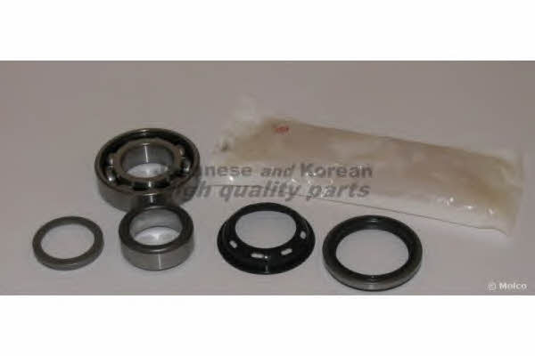 Ashuki 1413-3008 Wheel bearing kit 14133008