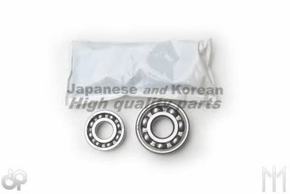 Ashuki D119-10 Wheel bearing kit D11910