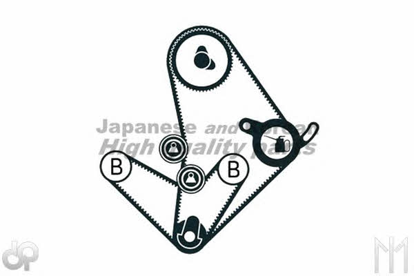Ashuki C790-62 Timing Belt Kit C79062