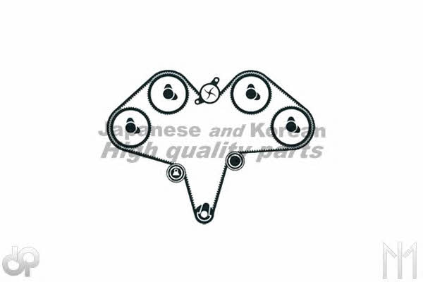 Ashuki C790-81 Timing Belt Kit C79081