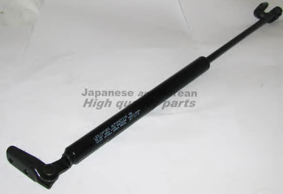 Ashuki C925-22 Gas Spring, boot-/cargo area C92522