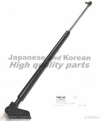 Ashuki T902-05 Gas Spring, boot-/cargo area T90205