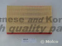 Ashuki M031-44 Air filter M03144
