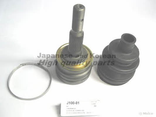 Ashuki J100-01 Activated Carbon Cabin Filter J10001