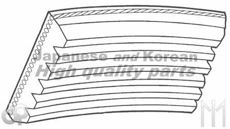 Ashuki M281-05 V-ribbed belt 4PK875 M28105