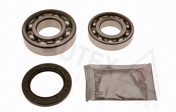 Autex 806045 Wheel bearing kit 806045