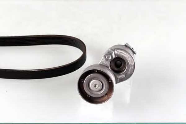 Autex 702773 Drive belt kit 702773