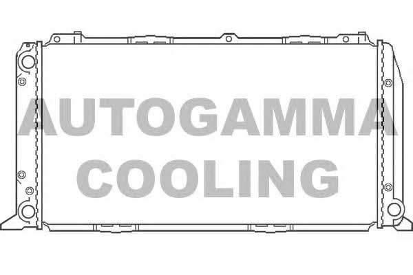 Autogamma 100041 Radiator, engine cooling 100041