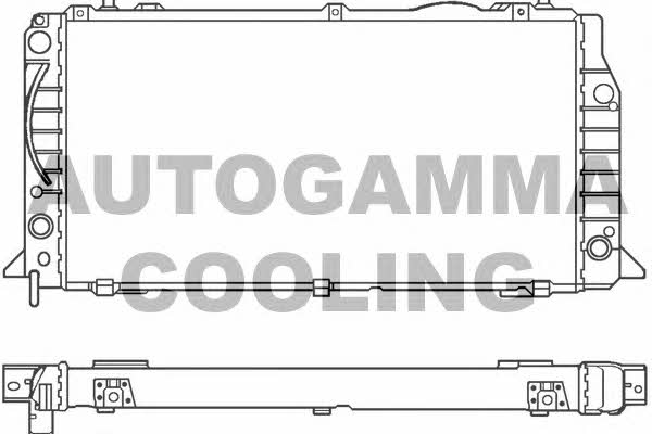 Autogamma 100049 Radiator, engine cooling 100049